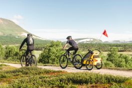 Slika za kategorijo Kolesarske prikolice